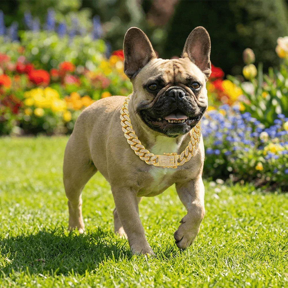 Luxury Hip Hop Dog Collar, Gold Tone Stainless Steel Cuban Chain, Durable Diamond Inlaid Pet Jewelry for Daily Walking