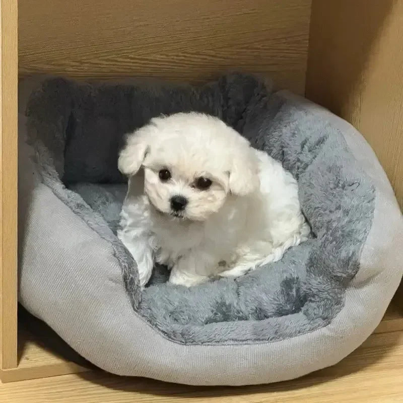 Very Soft Warm Dog Bed Pets Basket Cat House Sofa for Medium Large Dog Sofa Bed Cushion Dog Bed House Pet Supplies Accessories