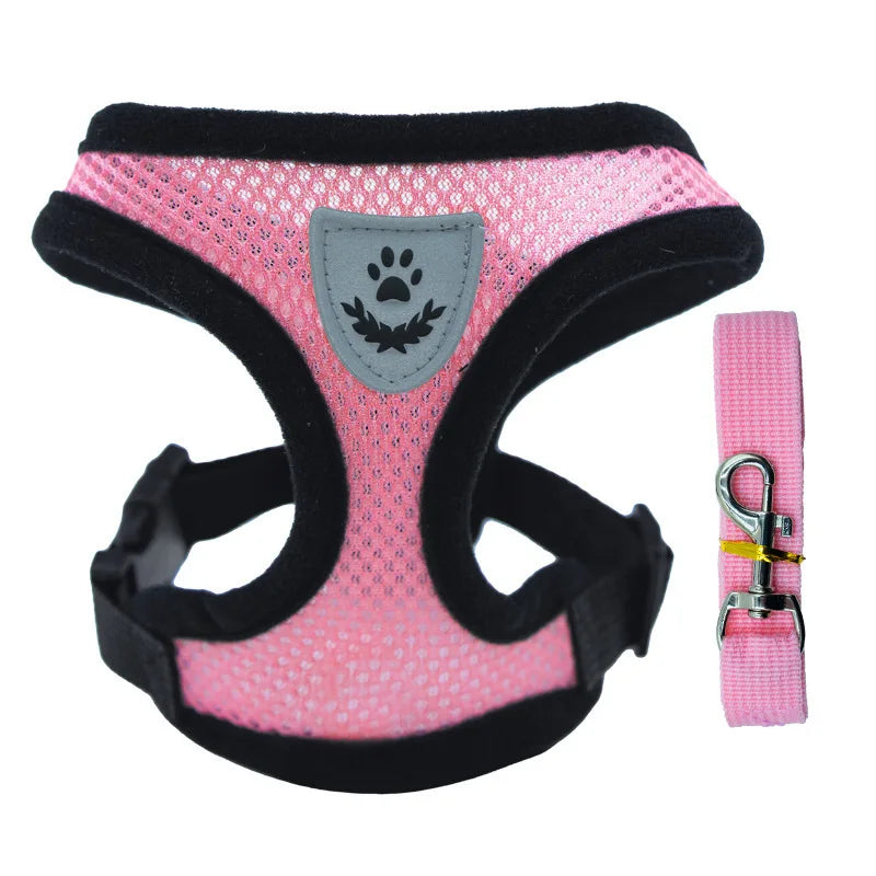 Hot summer small dog pet chest and back breathable dog chest and back suit cat outdoor traction rope child collar