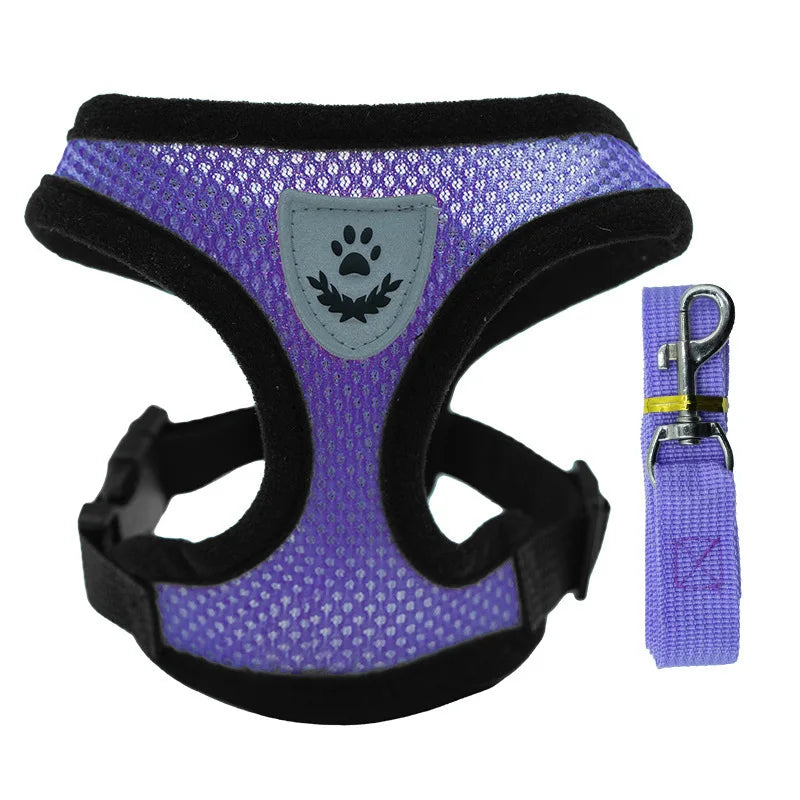 Hot summer small dog pet chest and back breathable dog chest and back suit cat outdoor traction rope child collar