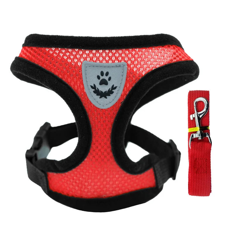 Hot summer small dog pet chest and back breathable dog chest and back suit cat outdoor traction rope child collar