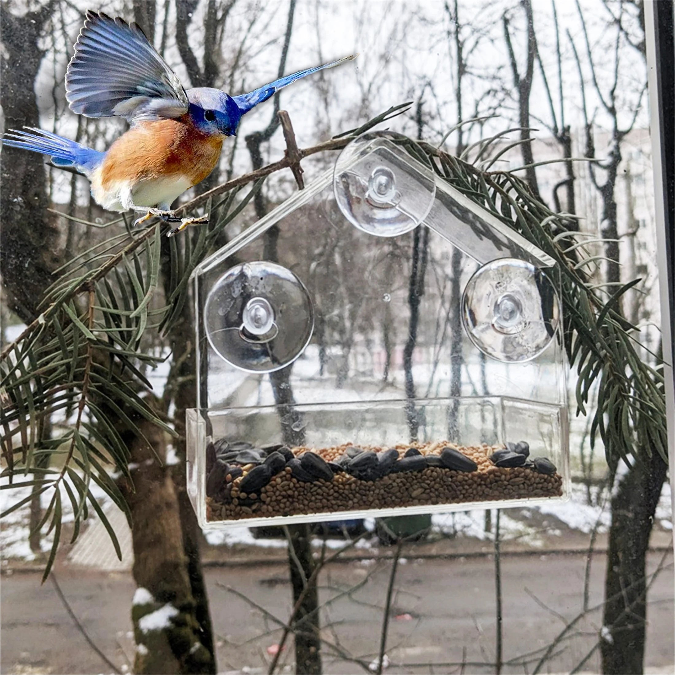 NEW Window Type Bird Feeder, Reusable Tray, Waterproof Transparent Squirrel Food Container, Outdoor Suction Cup Installation