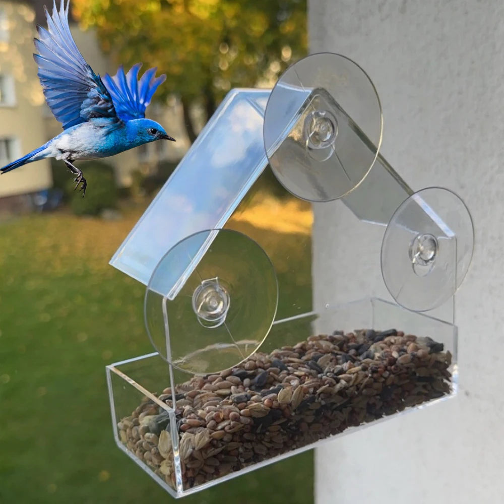 NEW Window Type Bird Feeder, Reusable Tray, Waterproof Transparent Squirrel Food Container, Outdoor Suction Cup Installation